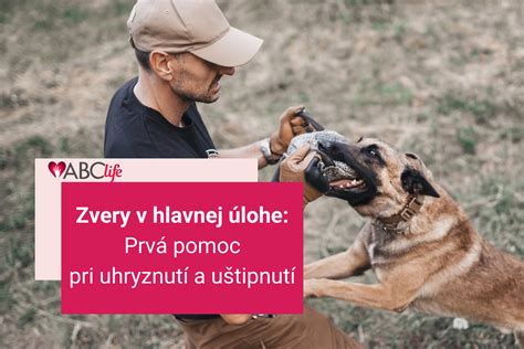 Fotografia veterinára pri práci so zvieraťom