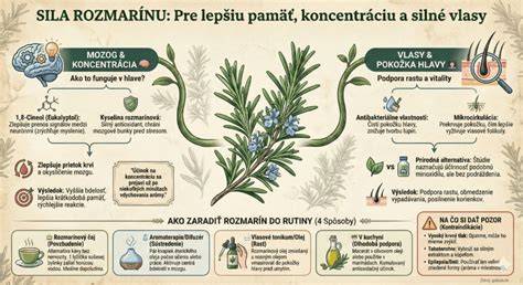 Infografika: Ako rozmarín ovplyvňuje laktáciu a kožu