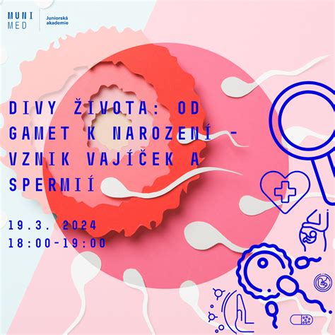 Infografika: Plodné dni a dĺžka života spermií v tele ženy