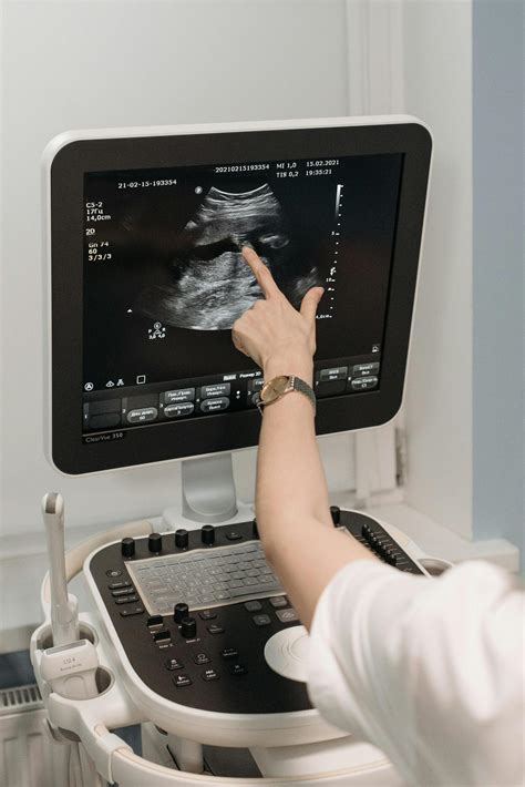 Veterinár vykonávajúci ultrazvuk