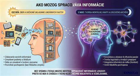 Infografika: Cesty mozgu pri hrách a poruchách
