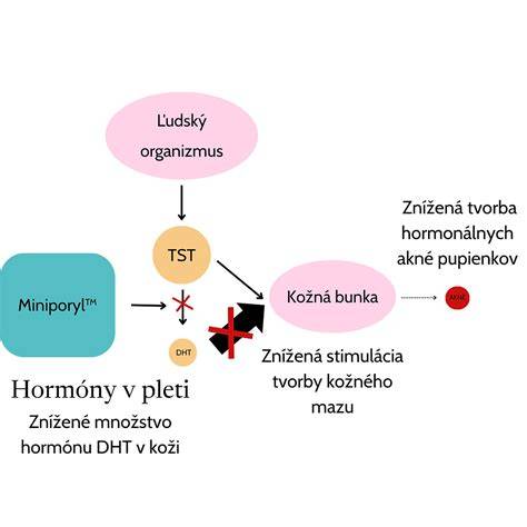 Schéma hormonálnej stimulácie pri IVF a typy krvácania