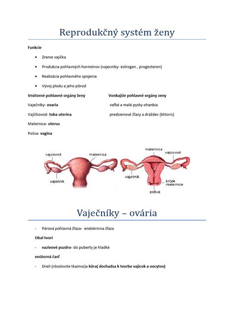 Infografika: Reprodukčný systém zvierat (anatomia a hormonálna regulácia)