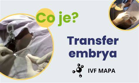 Infografika: Proces IVF od konzultácie po transfer embrya