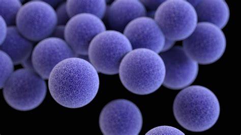 Infekcie novorodencov spôsobené Staphylococcus aureus - prehľad
