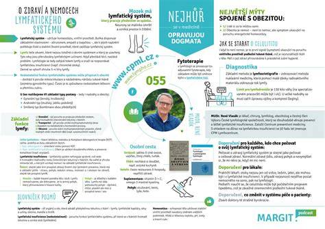 Infografika: Funkcia žlčníka a žlčového systému