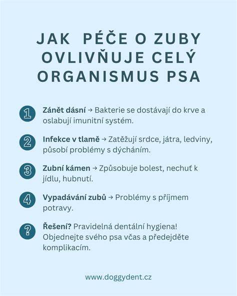 Infografika: Základné piliere starostlivosti o dojča (výživa, spánok, hygiena, imunitný systém, návštevy pediatra)