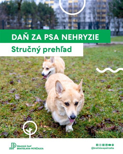 Infografika: Stručný prehľad kompetencií SZD a postupov v jasliach