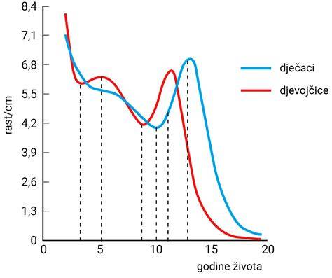graf_rast_obvodu_hrudnika
