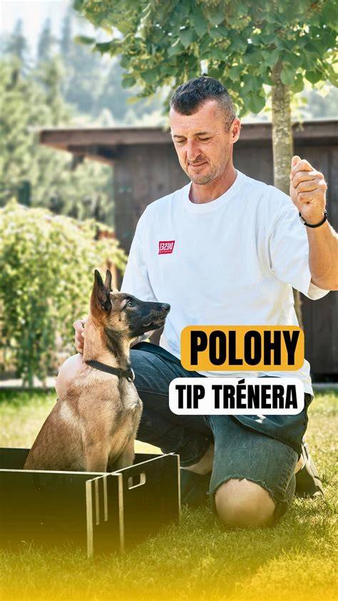 inzercia: ilustrácia správnej polohy trojuholníkového oporu a pásenia