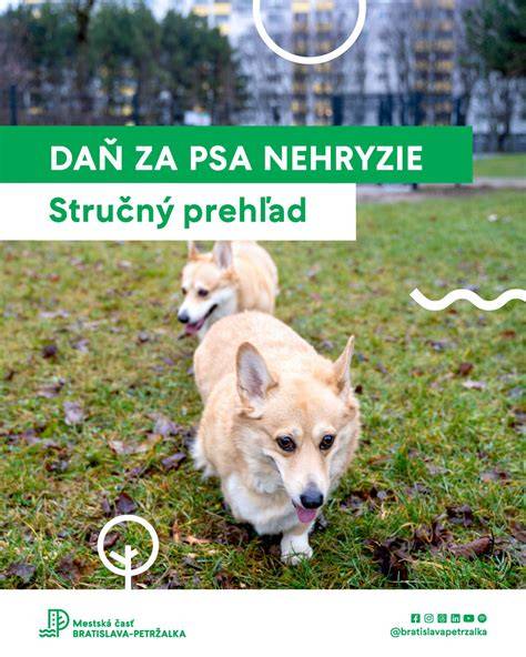 Infografika: Stručný prehľad podmienok pre jazlíky a ich registráciu