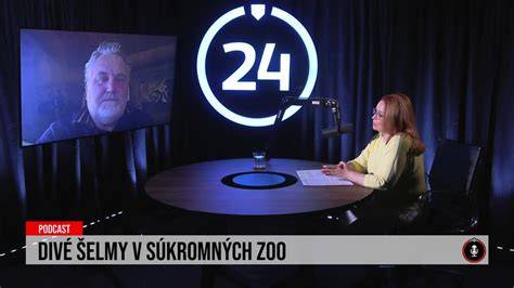 Obrázok ilustrujúci rozloženie tried a denného režimu v súkromných jasliach v Kysuckom Novom Meste