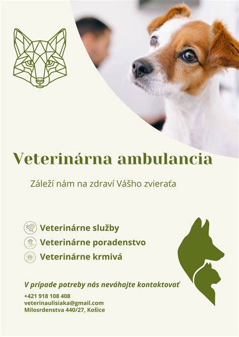 Infografika: Plán pôrodu a komunikácia s veterinárom