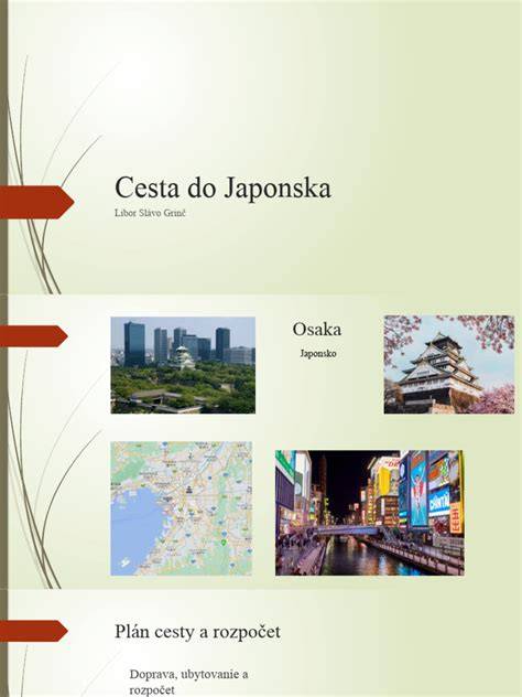 Infografika: Prehľad krokov vyplnenia formulárov a vstupných pravidiel do Japonska