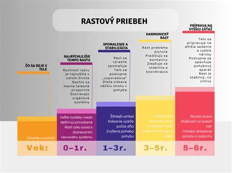 Infografika: Trojica identity Božie dieťaťa - stvorenie, adopcia, rast v Duchu