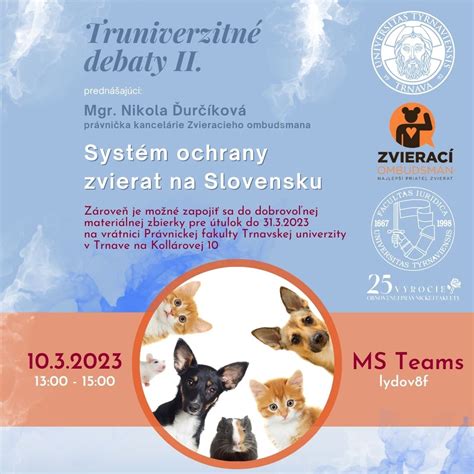 obrázok znázorňujúci systém ochrany detí na Slovensku