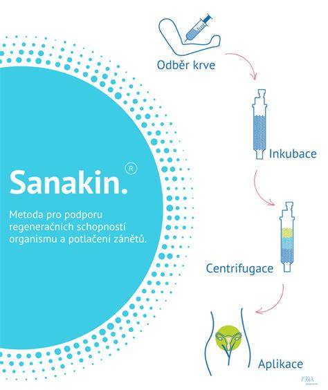 Schéma implantácie a obdobia nazývané okno implantácie