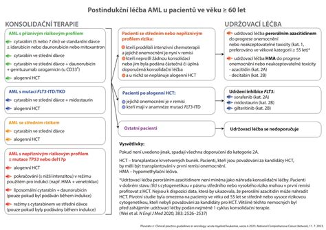 Infografika ukazujúca mechanizmus ultrazvukovej terapie a prekrvenie tkanív