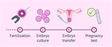 Schéma proces IVF: od stimulácie po embryotransfer