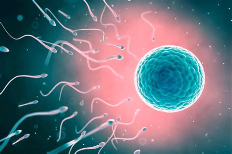 Grafika: kroky IVF procesu