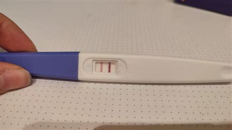 Infografika: Schéma IVF krokov od vstupnej konzultácie po tehotenský test