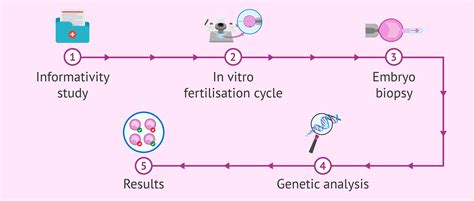 Infografika: Schéma kombinácie IVF, PGD a prenatálnej diagnostiky