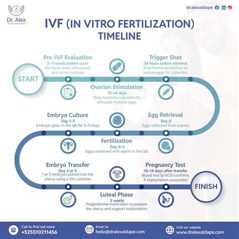 História IVF timeline: od Edwards-Steptoe po súčasné centrá na Slovensku