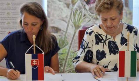 Schéma spolupráce ústredných orgánov medzi štátmi