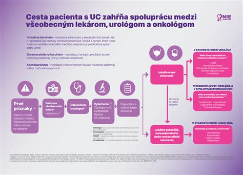 Infografika: Cesta pacienta pri IVF na klinikách skratene
