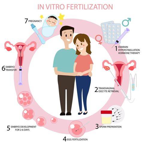 Infografika: Cyklický priebeh IVF a hormonálnej stimulácie