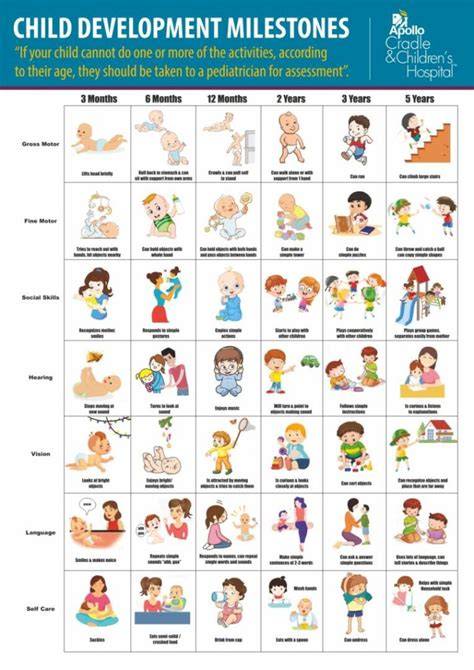 Illustration showing developmental milestones by age
