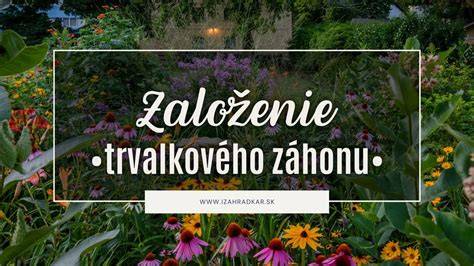 Infografika: Schéma krokov rozmnožovania odrezkami a delením trsov