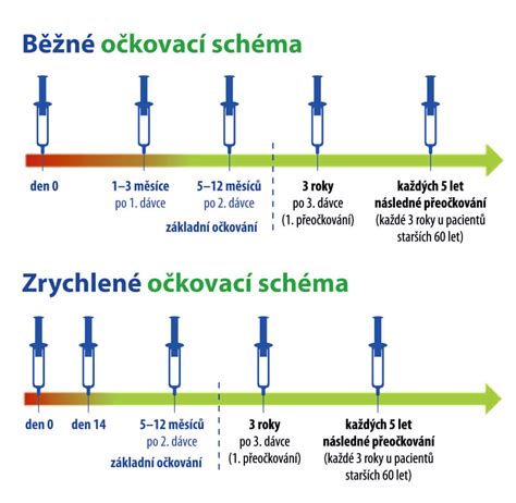 Schéma: harmonogram pravidelných prehliadok a očkovania