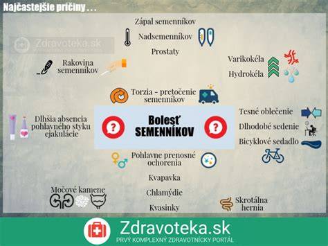 Infografika: Zostup semenníkov a hydrokéla