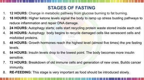 Infografika: Fasting vs. tradičná 3 jedlá denne