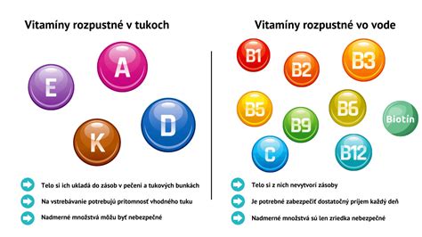 Infografika: Ako funguje vitamín E v bunkových membránach a ako pomáha chrániť pred oxidačným stresom
