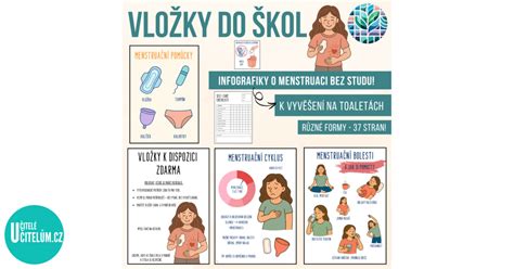 Infografika: 3 vrstvy vložky a ich funkcie