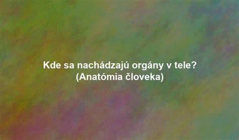 Infografika o tom, kde sa v tele nachádzajú potné žľazy a ako reaguje nervový systém na stres
