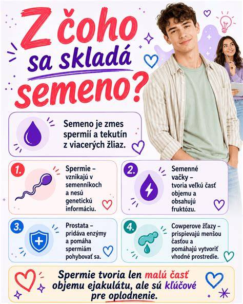 Infografika: Cesta spermií od produkcie po oplodnenie