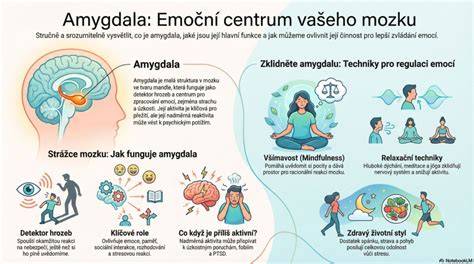 infografika_emoce_vychova.png