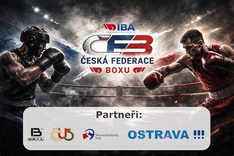 Pôdorys boxu a certifikátu autenticity