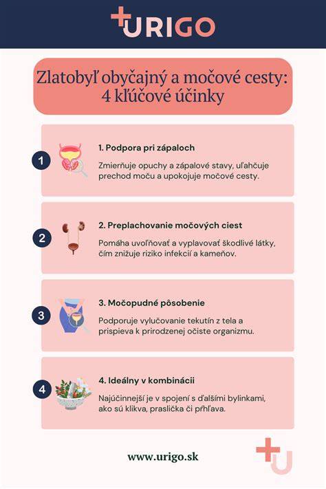 Infografika: Cesty vyživovania a príklady výšky výživného