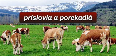 Slovenské ľudové múdrosti: príslovia a porekadlá o vzťahu rodič a dieťa