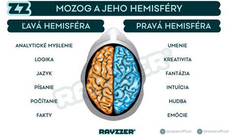 Infografika: Ako funguje mozog počas učenia a čo ho podporuje