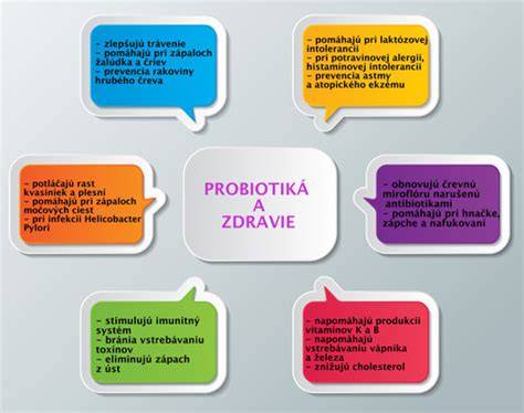 Infografika o tom, ako probiotiká a prebiotiká pomáhajú črevnej mikroflóre