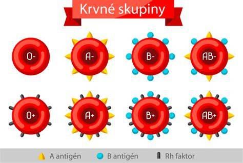 Infografika: Rozdelenie krvných skupín AB0 a Rh
