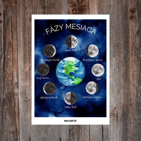 Schéma fáz pôrodu (doteraz popísané fázy)