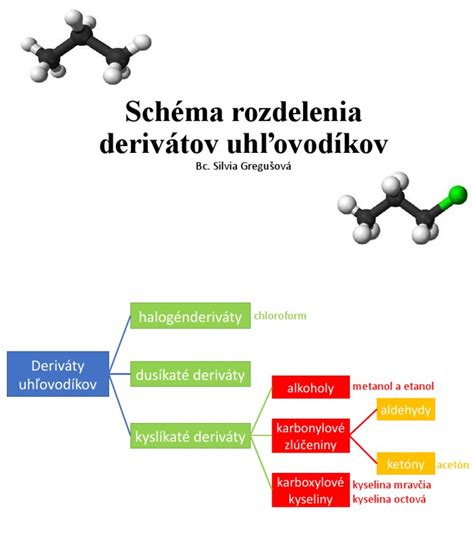 Infografika: Schéma rozdelenia dovoleniek a dávok
