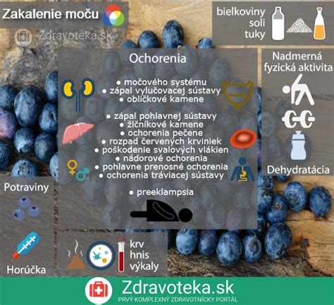 Infografika: Hlavné príčiny zrýchleného dýchania u dieťaťa a priebeh vyšetrenia