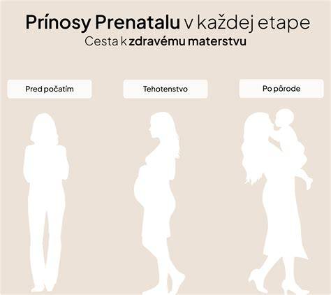 Infografika: Cesta tehotenstva rizikovými obdobiami a podpora medicínskeho tímu